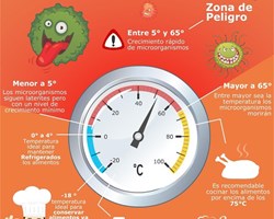 LA TEMPERATURA DE LOS ALIMENTOS