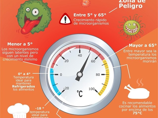 LA TEMPERATURA DE LOS ALIMENTOS